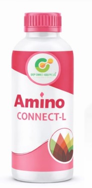 Amino Connect-L